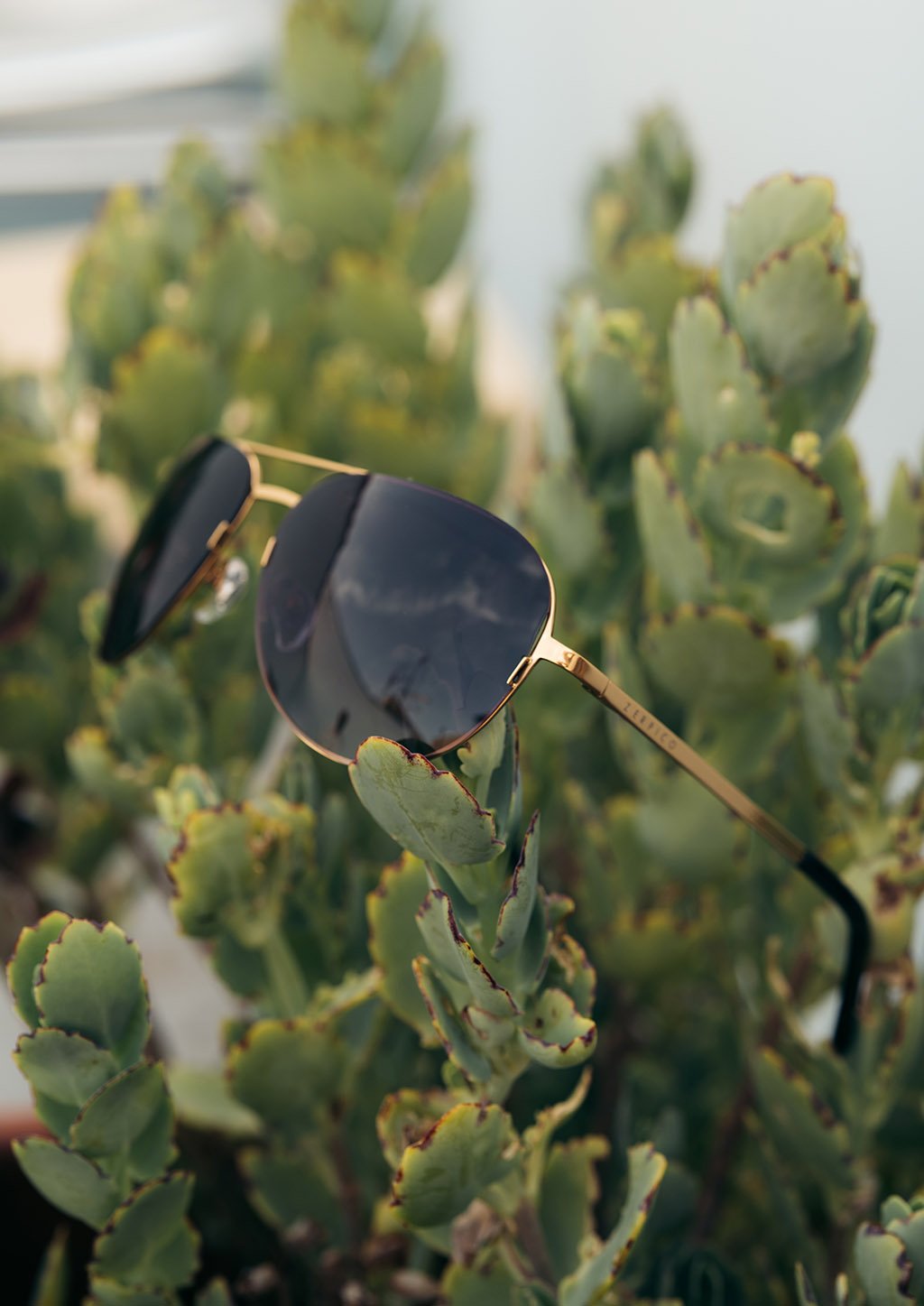 Titanium Aviator Sunglasses – Changeable Lenses – view 6